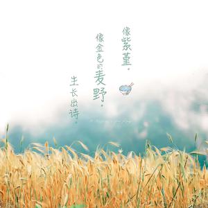 小明小明我要看A片现场直播
