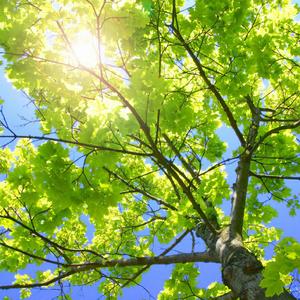 小明小明我要看A片现场直播
