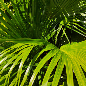 小明小明我要看A片现场直播
